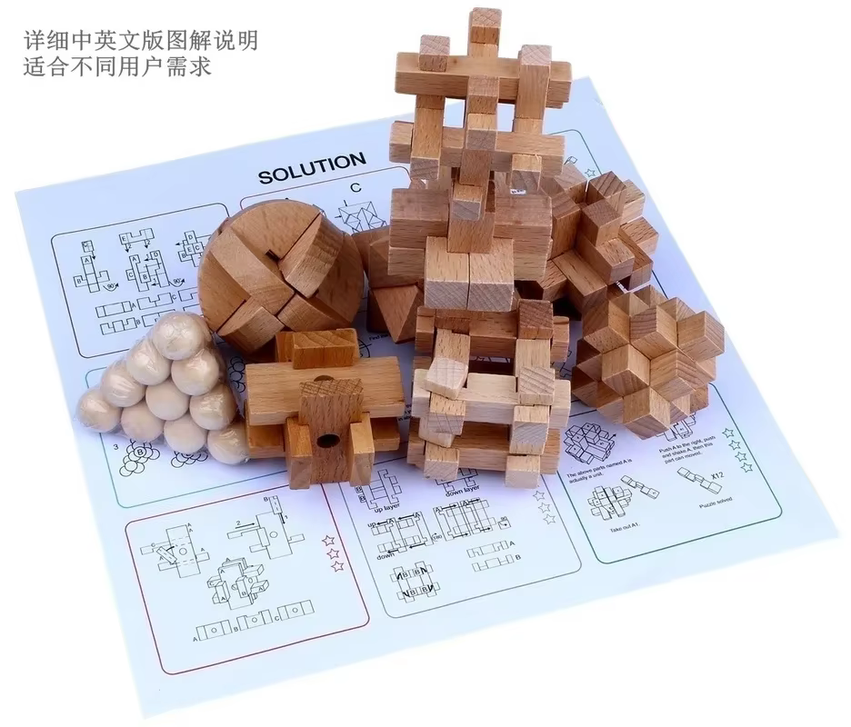 Brain Teaser Puzzle Set (9)