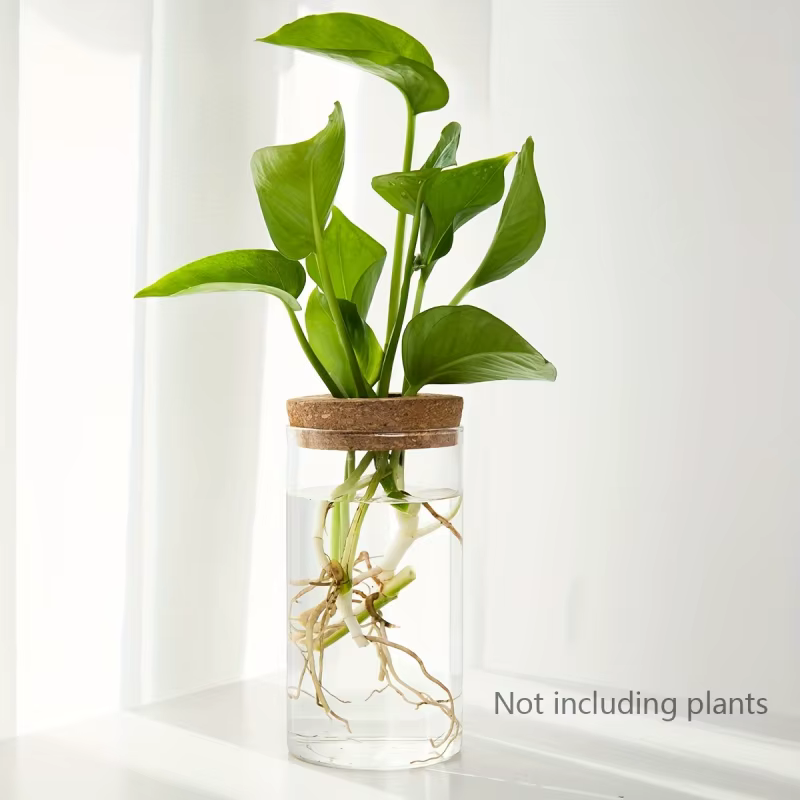 Glass Bud Vase on Wooden Stand