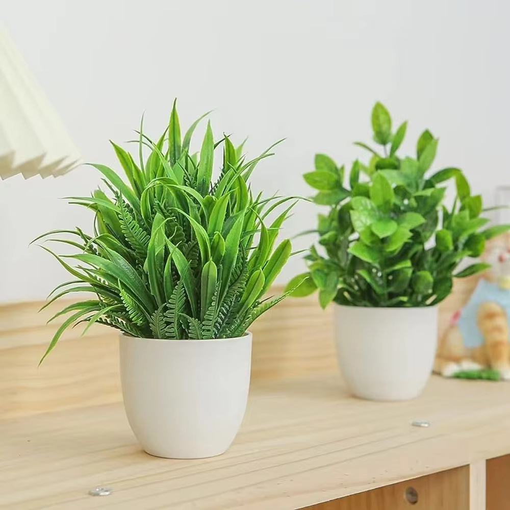 Potted Mini Plant Set