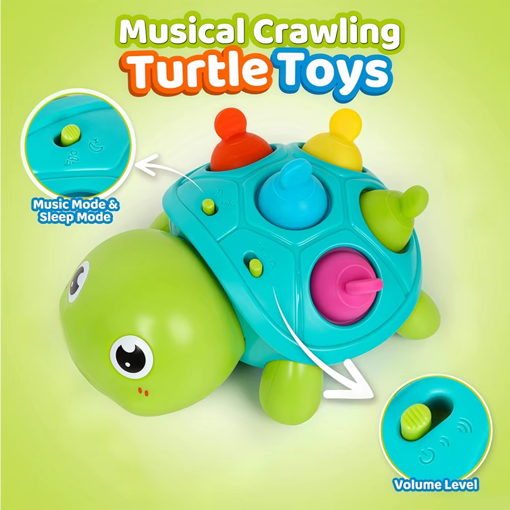 Musical Crawling Turtle