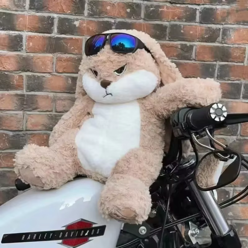 Long-Ear Bunny Soft Toy