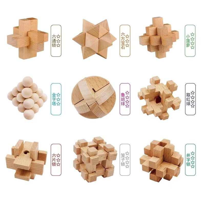 Brain Teaser Puzzle Set (9)