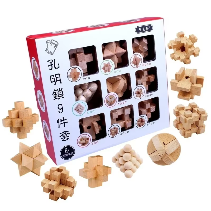 Brain Teaser Puzzle Set (9)