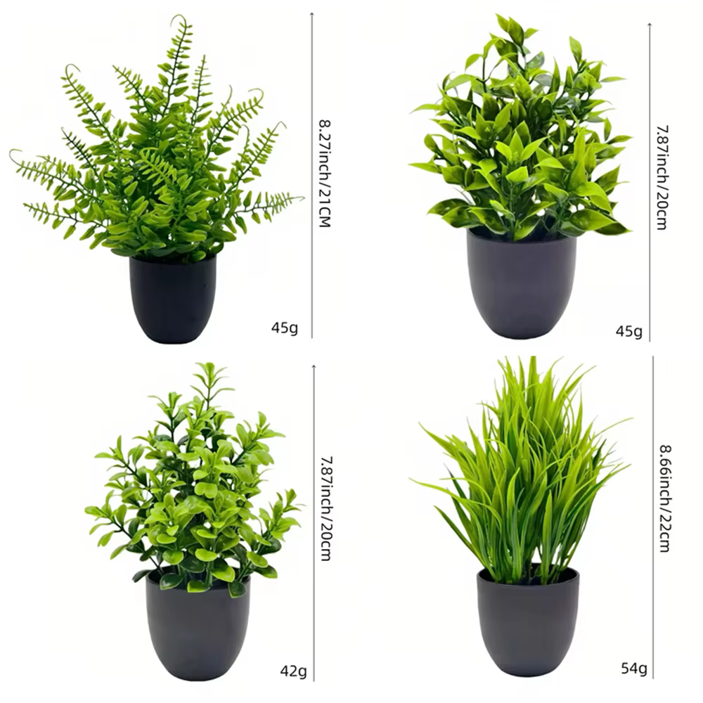 Potted Mini Plant Set