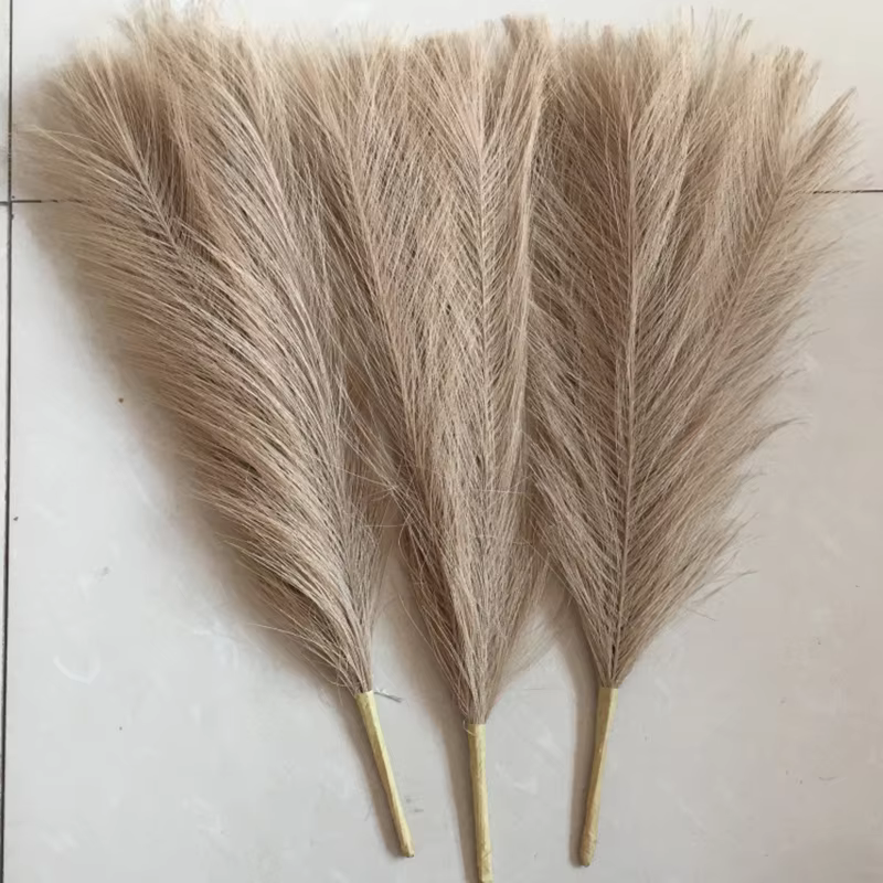 Boho Pampas Grass Stems