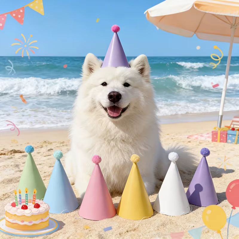 Macaroon Cone Party Hats