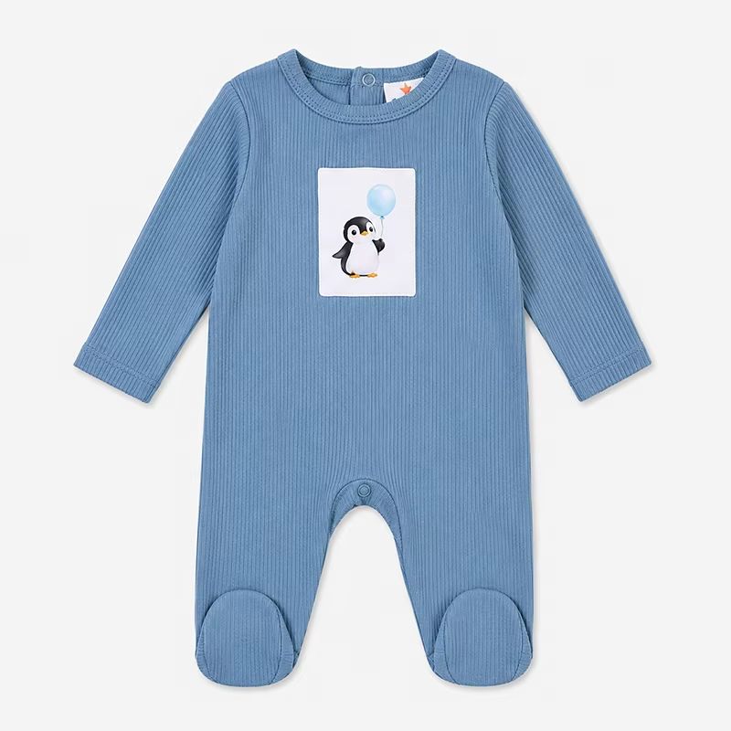 Little Arctic Dream Collection – Baby Boy Set