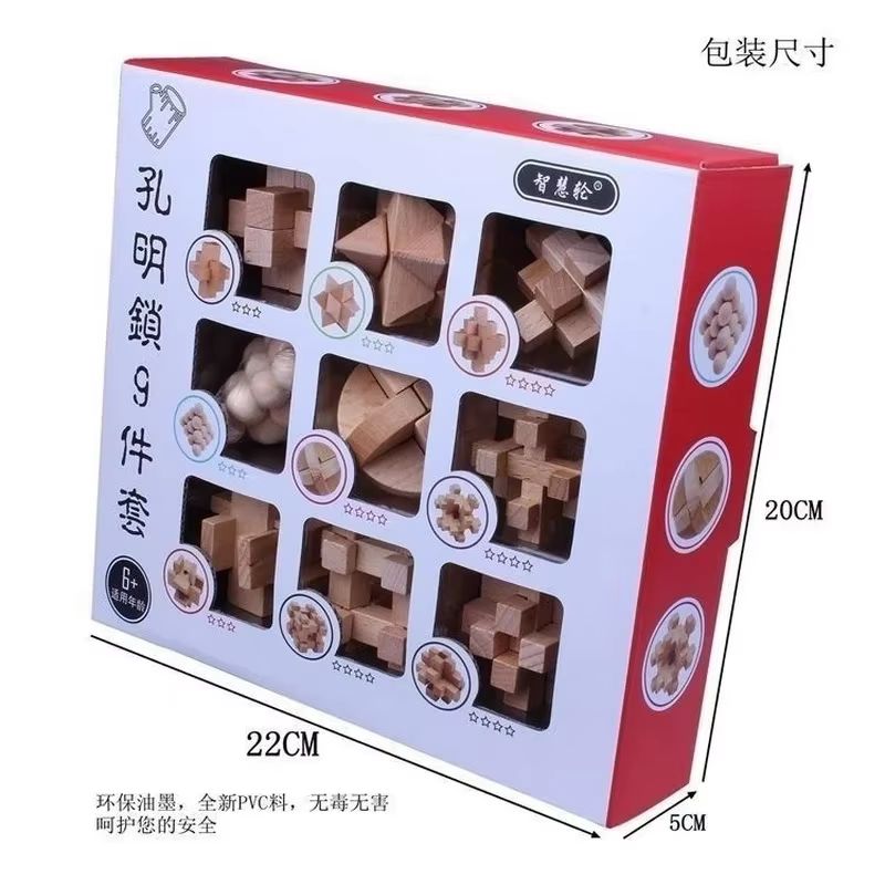 Brain Teaser Puzzle Set (9)